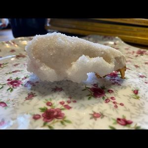 Crystallized Mink Skull